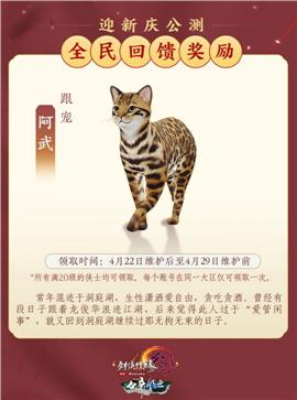 紫禁天龙八部私服